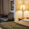 Отель Comfort Inn & Suites Diamondale – Lansing, фото 43