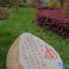 Отель Maple Garden Hotel, фото 5