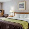 Отель Comfort Inn, фото 5