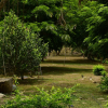Отель El Lago - Finca Agrituristica, фото 1