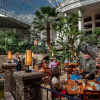 Отель Gaylord Opryland Resort & Convention Center, фото 21
