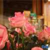 Отель Youyangju Hostel, фото 5