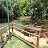 Отель Paradise Rio Quente 4QTs, фото 12