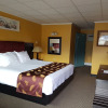 Отель Alpine Inn & Suites, фото 37