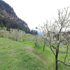 Отель OYO 13697 Home Exotic Hill View Studio Naggar Road, фото 14