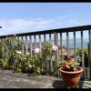 Отель Fantastic spacious house with beautiful panoramic views of the bay Only a few minutes walk from beac, фото 15