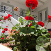 Отель Elia Stalos Apartments, фото 13