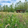 Отель The Botanist - Luxury Cabin With Hot Tub Near York, фото 1