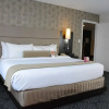 Отель University Plaza Hotel And Conference Center, фото 14