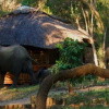 Отель Selous Serena Camp, фото 14
