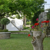 Отель Villa Idalina, фото 31