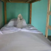 Отель Casa Turtle Bogue - Hostel, фото 18