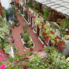 Отель Hostal El Patio B&B, фото 12