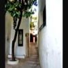 Отель Apartment With 3 Bedrooms in Córdoba, With Wonderful City View and Wifi, фото 23