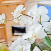 Отель Apartment Bärgbach - GriwaRent AG, фото 32
