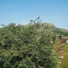 Отель OYO Home 22738 Gorgeous 4BHK Lonavala, фото 11