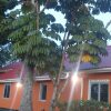 Отель Oceanic House city park motel в Энтеббе
