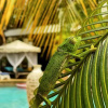 Отель Natural Kendwa Villa, фото 18