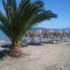 Отель Evoikos beach & resort, фото 14