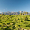Отель Palm Desert Resort Cc Gated 2br/1.5ba   Comm Pool/ Jac 2 Bedroom Condo, фото 19