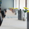 Отель BQ Carmen Playa Hotel - Adults Only, фото 12