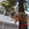 Отель Fonte da Foz Bed & Breakfast Terrace, фото 13