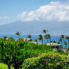 Отель Kapalua Ridge Villa 1112 Gold Ocean View, фото 27