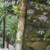 Отель Sobrado novo com varanda e deck com churrasqueira, na beira do rio das Pedras, 2 salas, 3 suites 2 q, фото 5