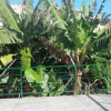 Отель Cantinho das Bananas, фото 1