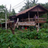 Отель Phayam Garden View, фото 11