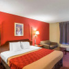Отель Econo Lodge Inn & Suites Canton, фото 5
