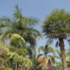 Отель Ban Nong Resort, фото 27