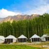 Отель Lumbini Camp- Nubra Valley, фото 1