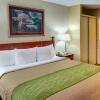 Отель College Park Hotel & Suites, фото 7