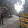 Отель Chitwan Gaida Lodge, фото 7