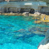Отель Cyprus Villa Near the Beach, Protaras Villa 1245, фото 28