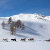 Отель SOWELL RÉSIDENCES Pra Loup, фото 24