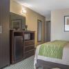 Отель Comfort Inn Chatham, фото 6