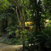 Отель Bali Inspired Casa Cascada w Jungle Views Wi-fi Private Pool ac, фото 17