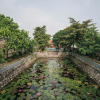 Отель Tam Coc Ninh Binh Bungalow, фото 20