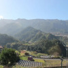 Отель Dinis Country Apartment by Our Madeira, фото 15