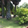 Отель Ban Tai Resort, фото 19