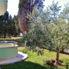 Отель Apartments Villa Tisa 223, фото 1