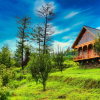 Отель Wood Vista Cottages, фото 15