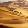 Отель Erg Chebbi Dunes Desert Camp, фото 10