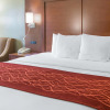 Отель Comfort Inn and Suites San Francisco Airport North, фото 3