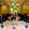 Отель Hilton Garden Inn Albany, фото 34