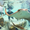 Отель Staybridge Suites Orlando at SeaWorld, an IHG Hotel, фото 23