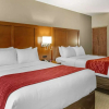 Отель Comfort Inn Lancaster - Rockvale Outlets, фото 48