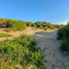 Отель Back of Beyond Dune Camp - Yala, фото 19